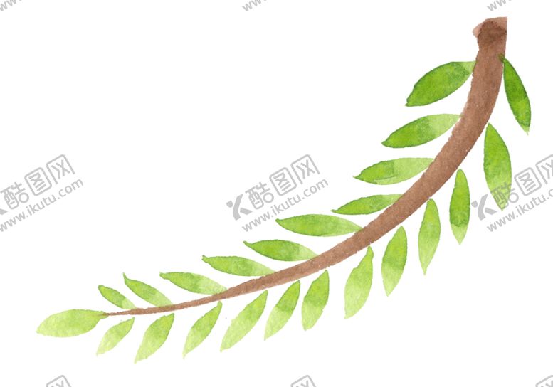 编号：83014610020753078274【酷图网】源文件下载-植物绿叶