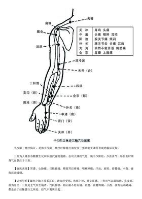 十二经脉