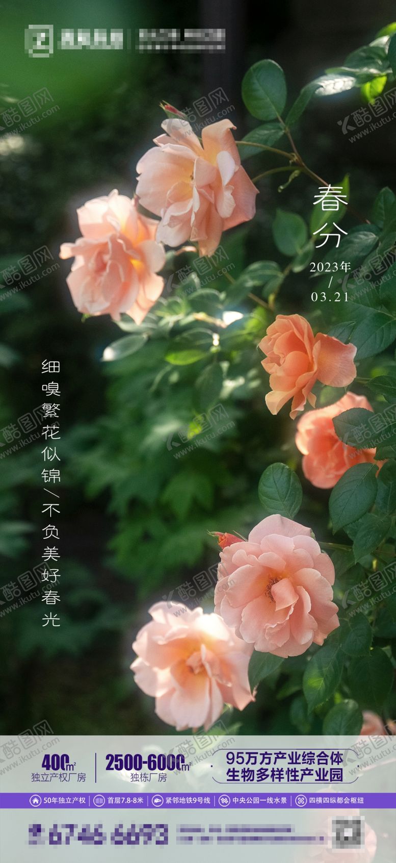 编号：10526702200538354255【酷图网】源文件下载-春分刷屏
