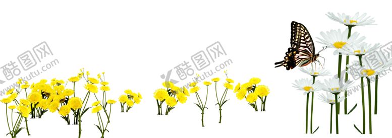 编号：12780709141331539567【酷图网】源文件下载-绿色植物