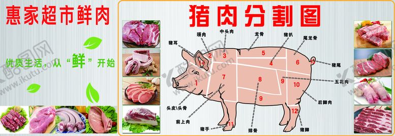 编号：01752909212111032013【酷图网】源文件下载-猪肉分割图