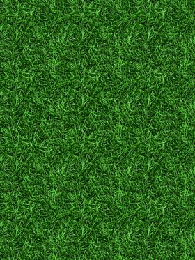 绿色草地