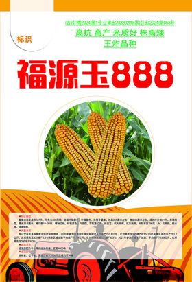 福源玉888玉米种子展示