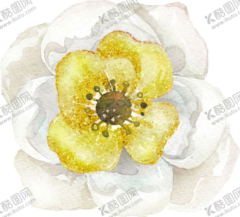 编号：15189909211425156060【酷图网】源文件下载-水彩手绘花卉花朵植物