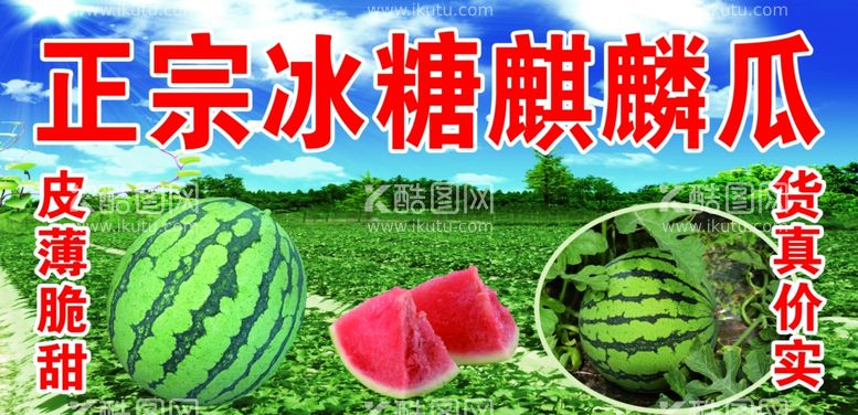 编号：77949812250304427284【酷图网】源文件下载-正宗冰糖麒麟瓜皮薄脆甜货真价实