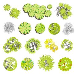 平面图植物景观效果图