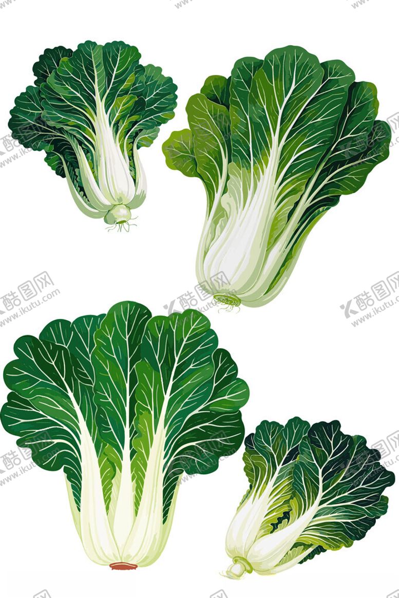 编号：91295902181503483256【酷图网】源文件下载-大白菜素材矢量