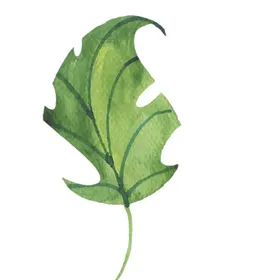 绿色水彩植物树叶