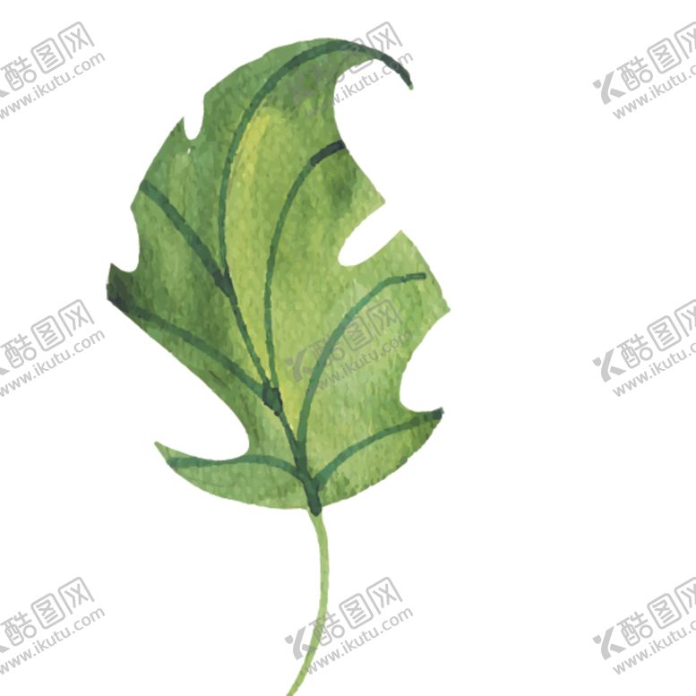编号：94728810050709156282【酷图网】源文件下载-绿色水彩植物树叶
