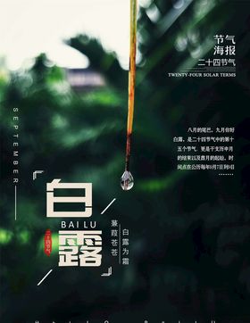 白露背景霜降图片