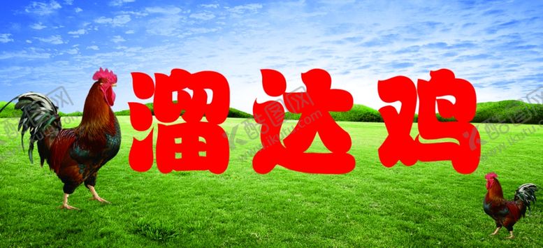 编号：24088801291009182795【酷图网】源文件下载-溜达鸡
