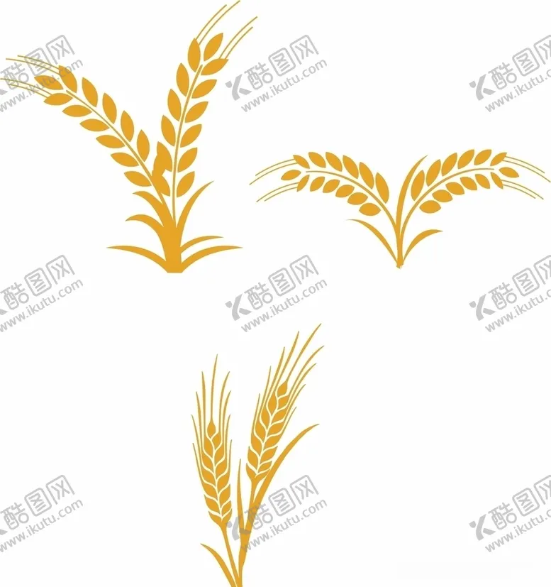 编号：55179905030732334954【酷图网】源文件下载-麦子