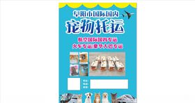 宠物托运宣传单