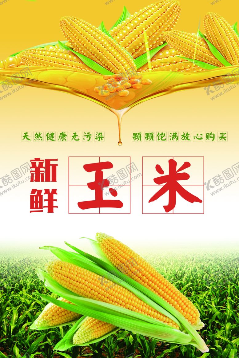 编号：68122402161242474012【酷图网】源文件下载-玉米海报