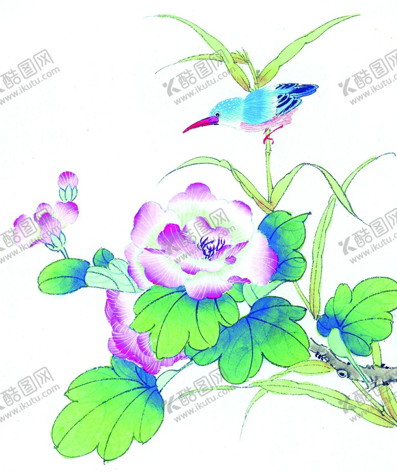 编号：58994111041306558216【酷图网】源文件下载- 牡丹花鸟画 