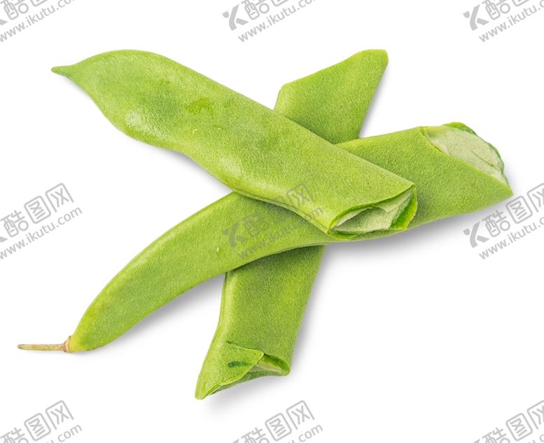 编号：60908604061850359698【酷图网】源文件下载-四季豆