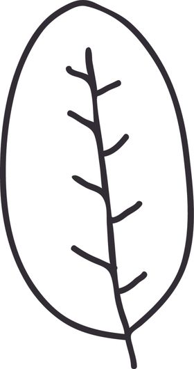手绘花卉元素
