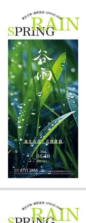 谷雨节气海报