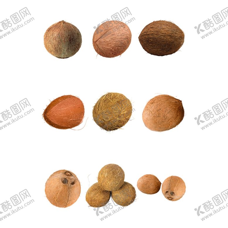 编号：76902107121546467181【酷图网】源文件下载-椰子