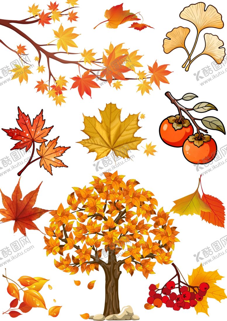 编号：45091804071831314986【酷图网】源文件下载-秋季树叶丰收果实装饰元素大合集