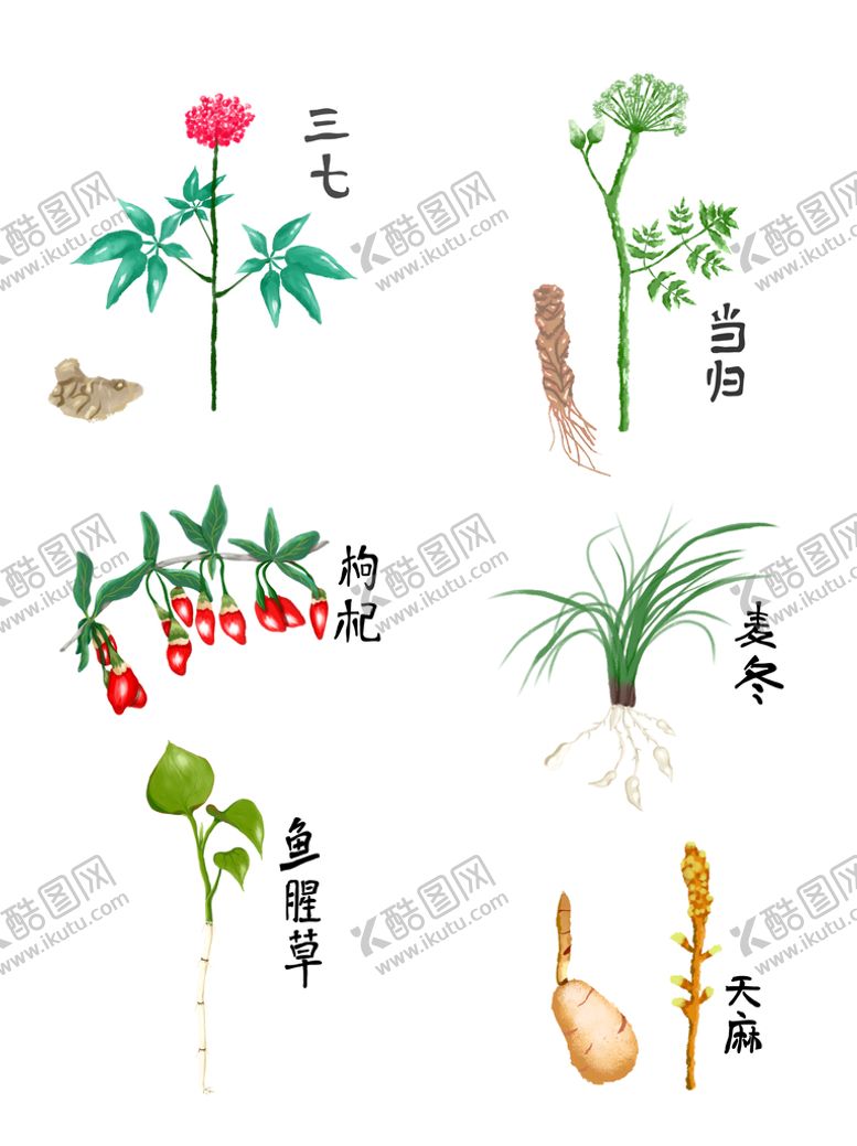 编号：98527409140148296704【酷图网】源文件下载-中药草本药草药材