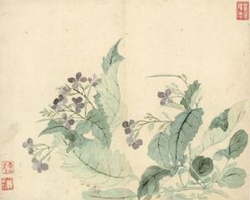 清代恽寿平花草绘画工笔水彩植物装饰