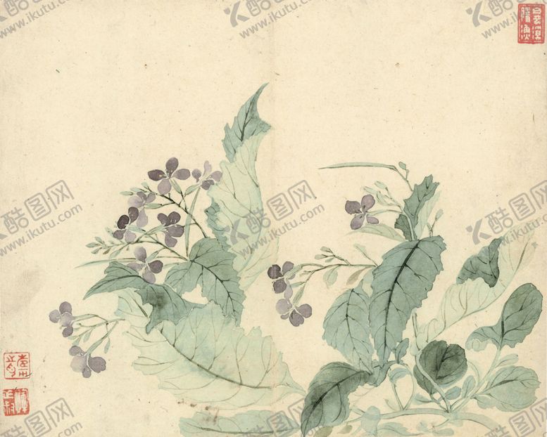 编号：91933007081632358891【酷图网】源文件下载-清代恽寿平花草绘画