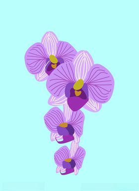 花苞