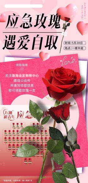 520送玫瑰