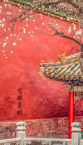 宫锁春枝