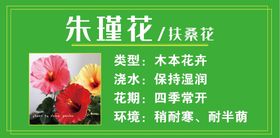  花介绍 花简介 花挂牌