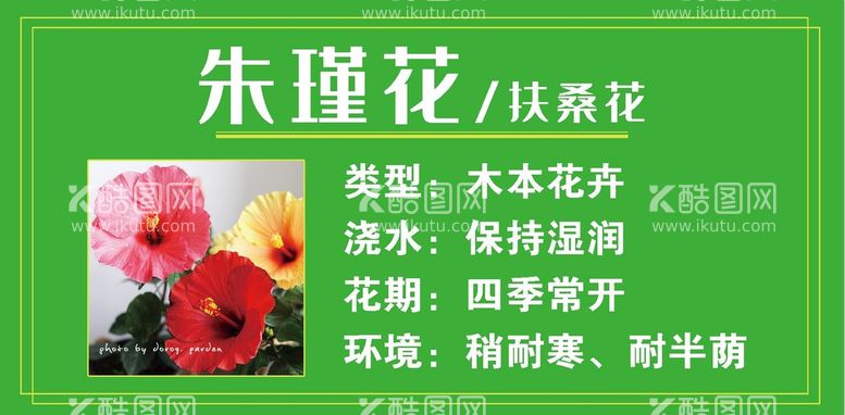 编号：13408911192322222695【酷图网】源文件下载- 花介绍 花简介 花挂牌