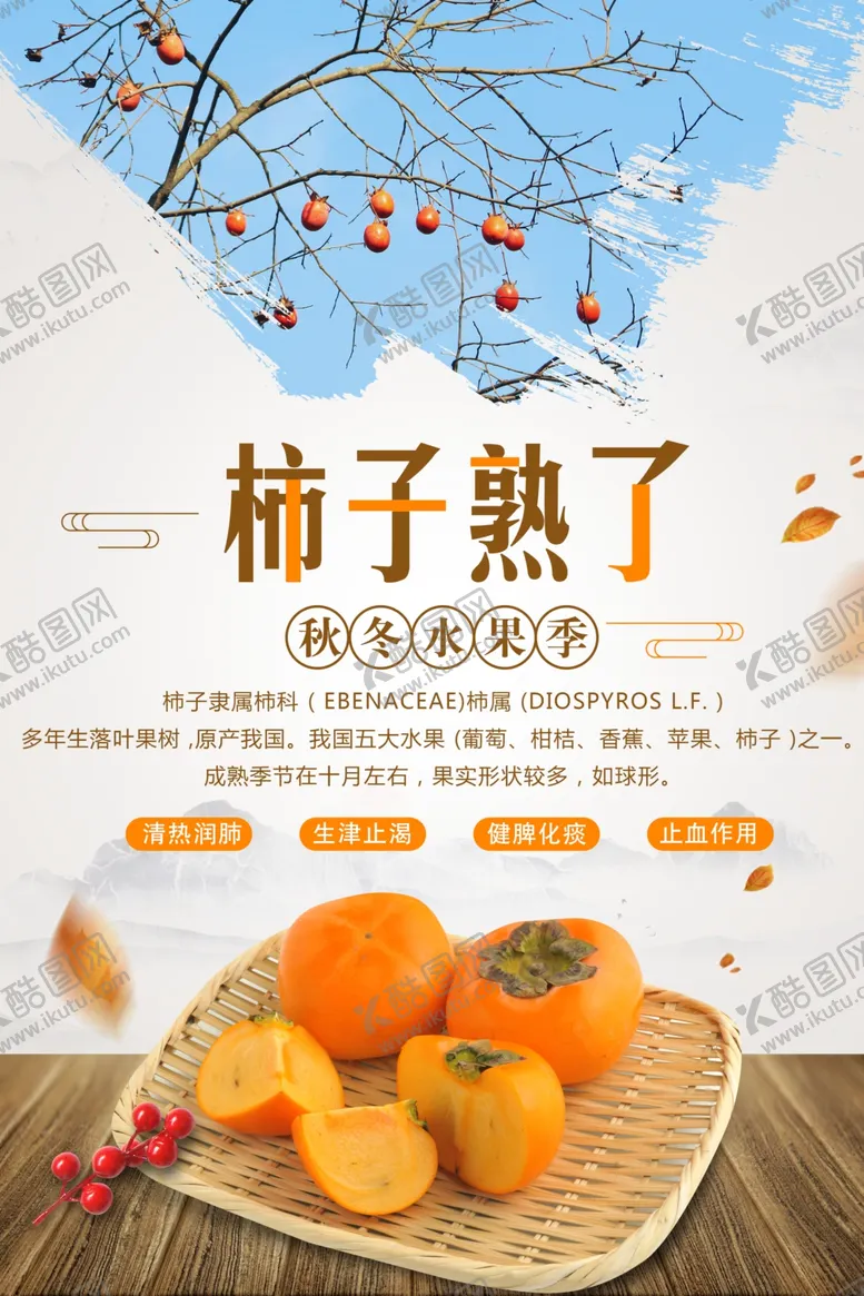 编号：16168801271010086691【酷图网】源文件下载-柿子熟了