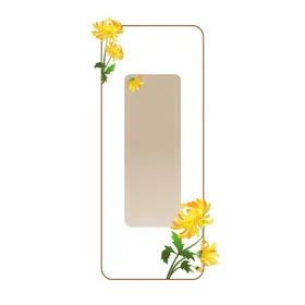 菊花标题