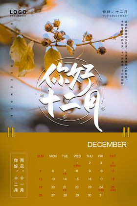 你好十二月暖色挂历创意风海报