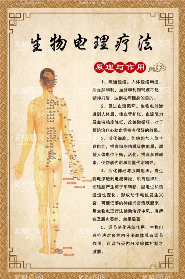 编号：93626010280116197511【酷图网】源文件下载-生物电理疗法原理与作用