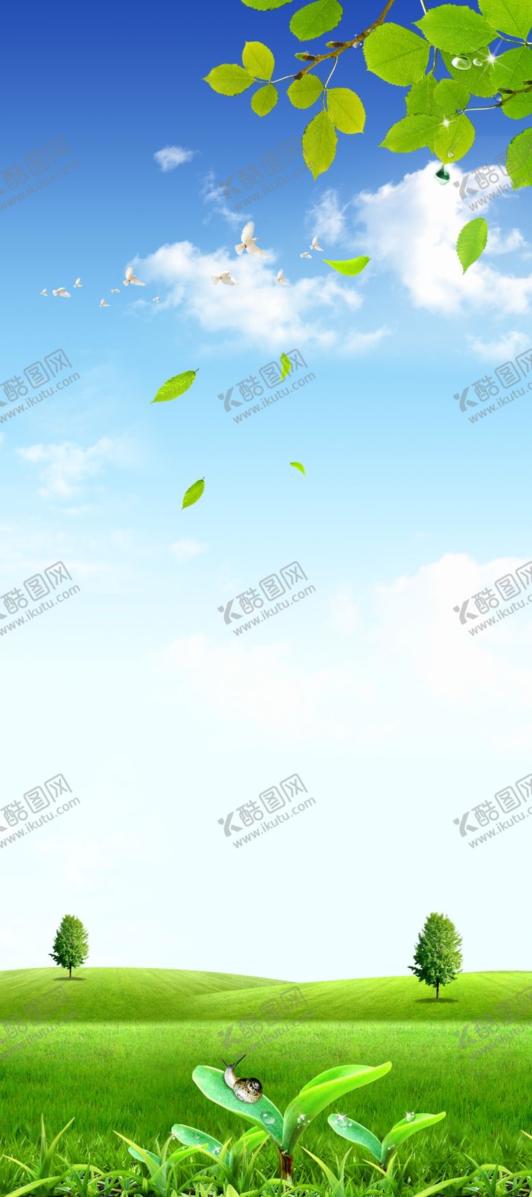编号：19987807021014321618【酷图网】源文件下载-绿色展架