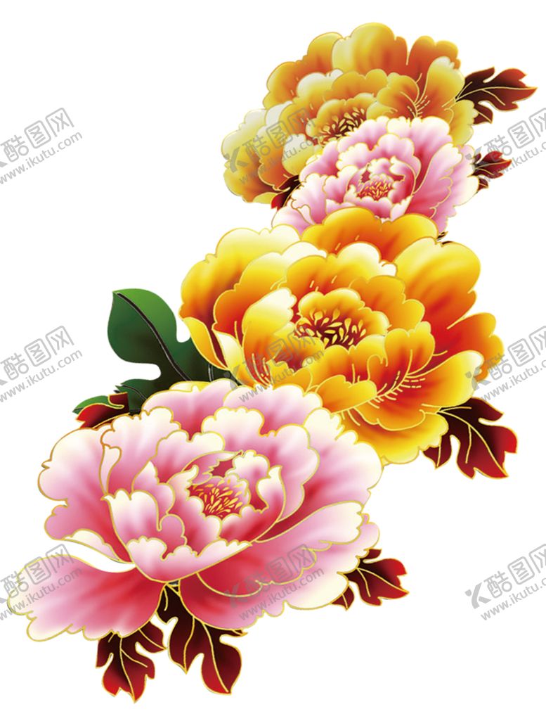 编号：42037910090042044486【酷图网】源文件下载-牡丹花