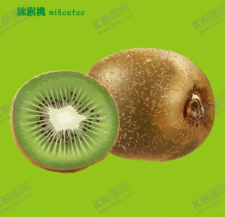 编号：62660409221437156314【酷图网】源文件下载-猕猴桃