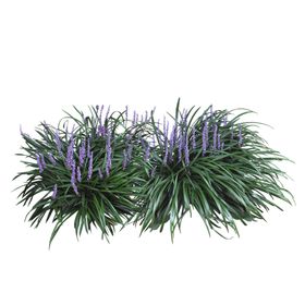 绿色植物电视背景墙玫瑰竹栏杆