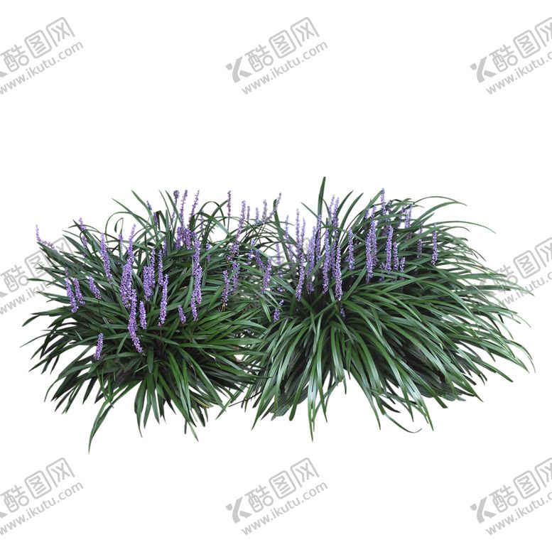 编号：81232207130138295034【酷图网】源文件下载-绿色植物