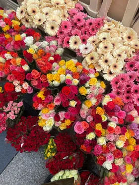 玫瑰花卉情人节爱情花