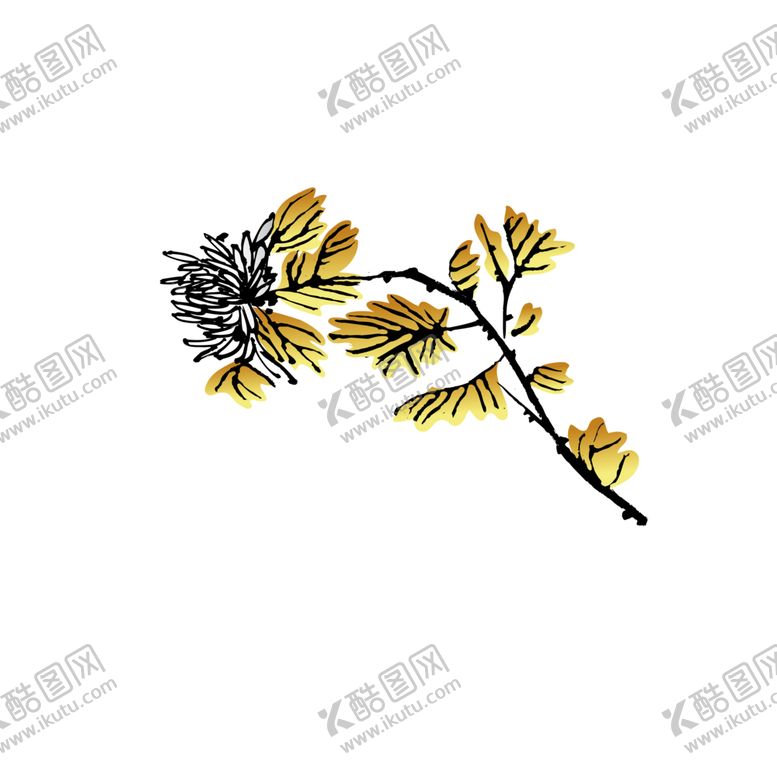 编号：43222606160903338259【酷图网】源文件下载-国画菊花