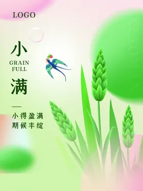 小满24节气金属麦子初夏