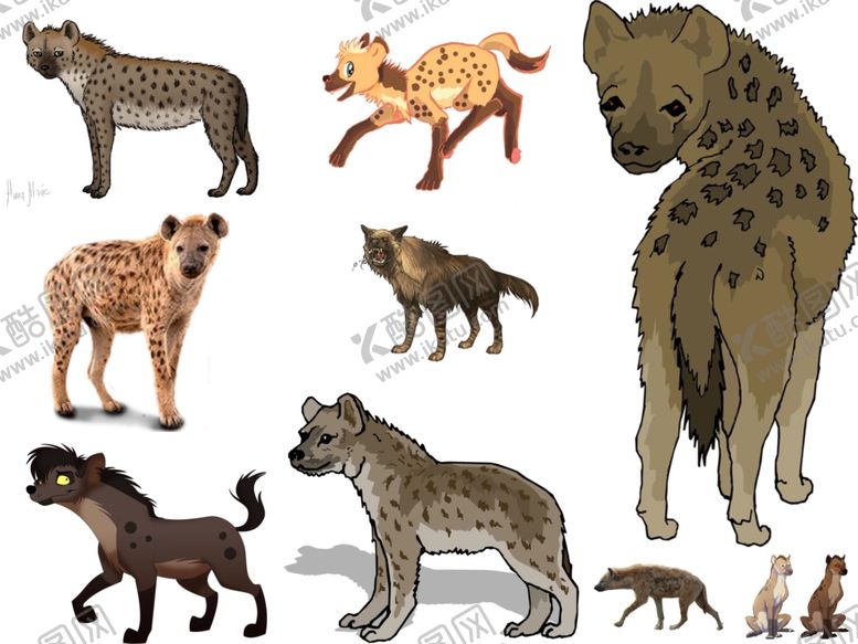 编号：53974609240402412678【酷图网】源文件下载-猎狗png免扣高清素材