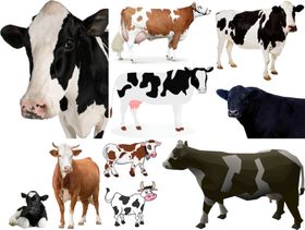 奶牛png免扣高清素材