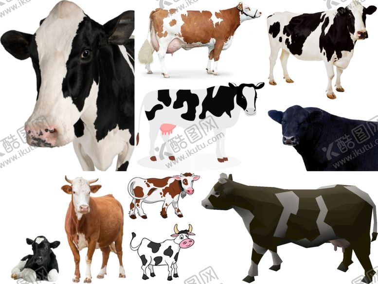 编号：55692810281324346547【酷图网】源文件下载-奶牛png免扣高清素材