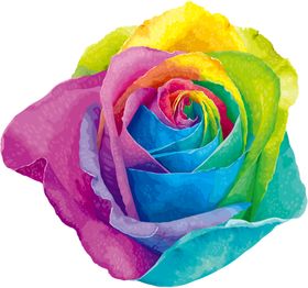 七彩烟花png