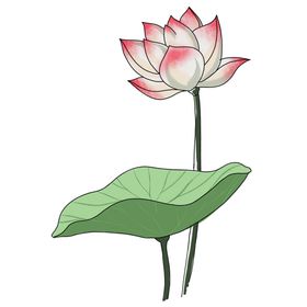 荷花元素朵手绘装饰植物