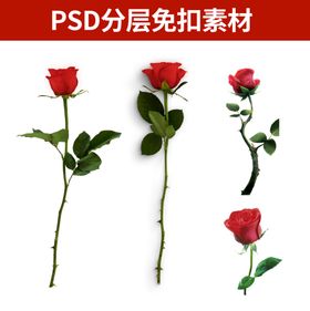 七夕玫瑰花素材免扣